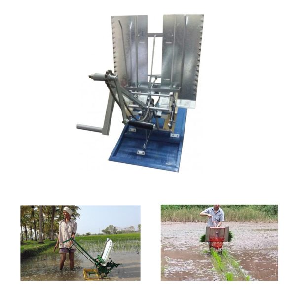 Manual 2 Row Rice Transplanter Machine Wooden Model - Image 3