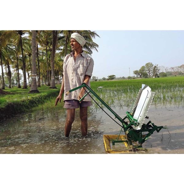 Manual 2 Row Rice Transplanter Machine Wooden Model - Image 4