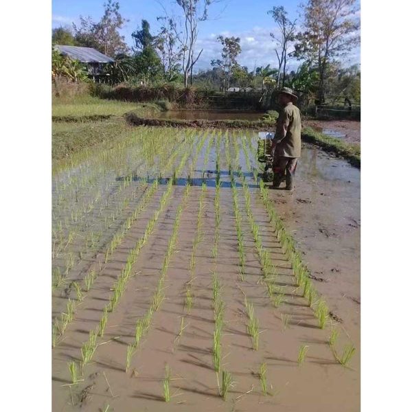 Manual 2 Row Rice Transplanter Machine Wooden Model - Image 5