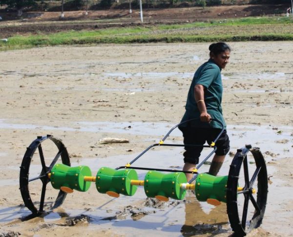 Hand Operated 8 Rows Direct Paddy Drum Seeder - Image 2