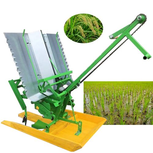 Manual 2 Row Rice Transplanter Machine Wooden Model