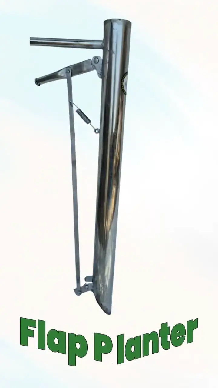 ig-3