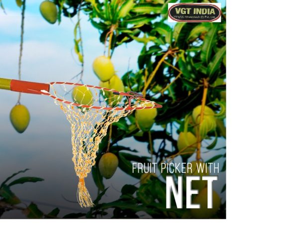 Mango-Plucker Without Pole - Image 2