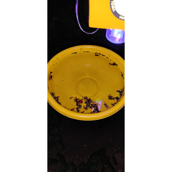 Solar Insect Light Traper 4 W Made In India - Image 4
