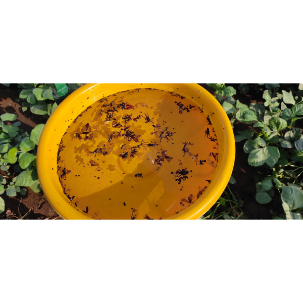 Solar Insect Light Traper 4 W Made In India - Image 6