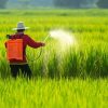 Types of Agriculture Sprayers & Their Uses in Farming