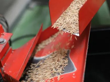 Why Every Livestock Farmer Needs an Animal Feed Pellet Machine
