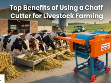 Top Benefits of Using a Chaff Cutter for Livestock Farming