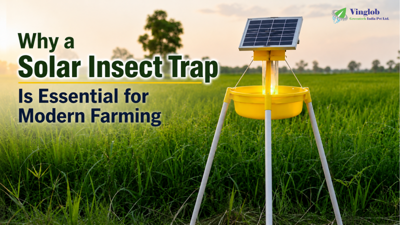 Why a Solar Insect Trap Is Essential for Modern Farming
