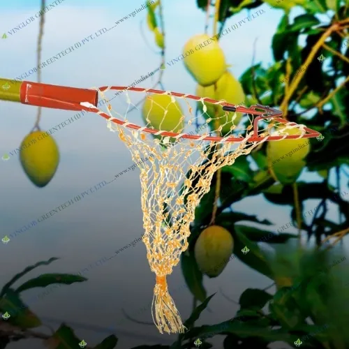 Manual Mango-Plucker Without Pole( Safe & Efficient Tool) - Image 6