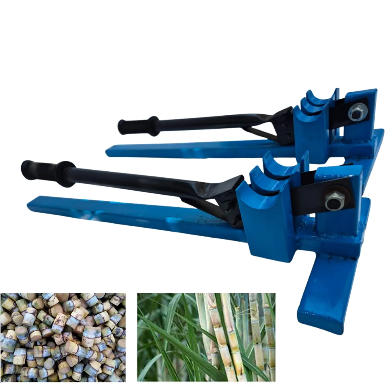 Sugarcane Bud Cutter Machine - Image 2