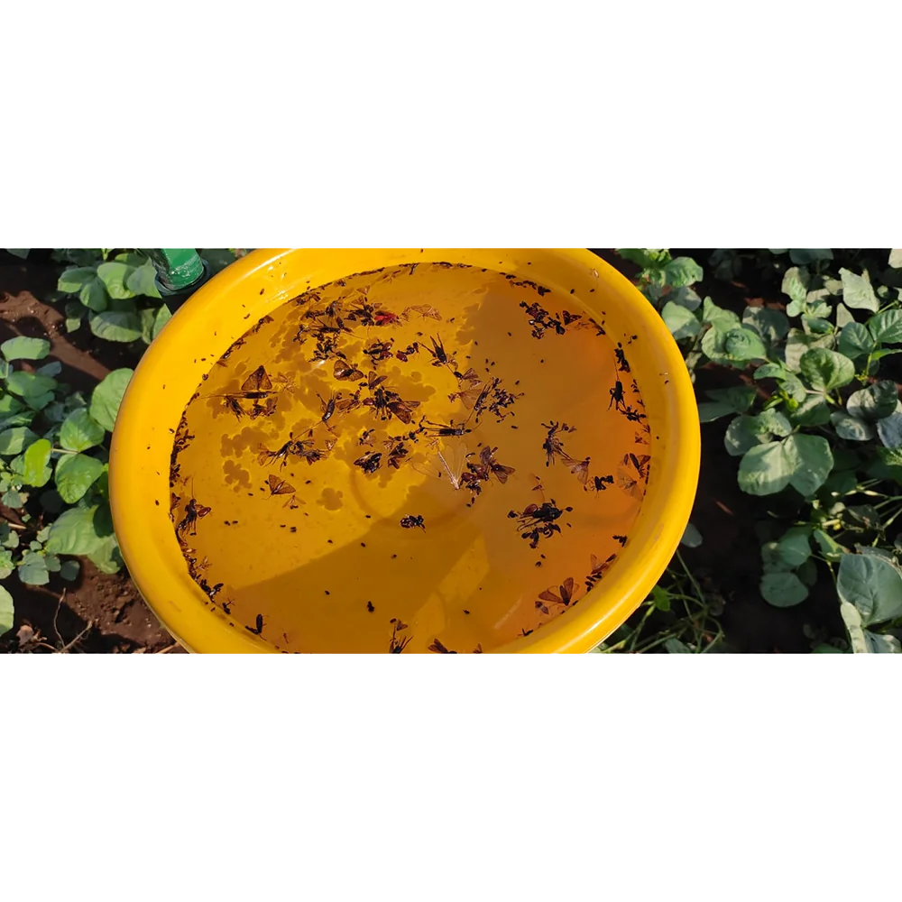 Solar Insect Light Traper 4 W Made In India - Image 6