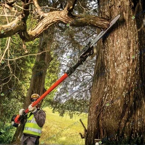 Chainsaw Attachment for Brush Cutter - Image 7