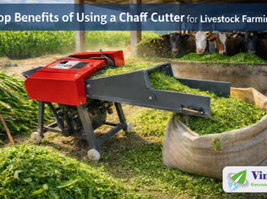 Top Benefits of Using a Chaff Cutter for Livestock Farming