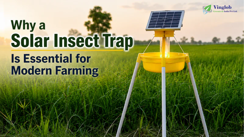 Why a Solar Insect Trap Is Essential for Modern Farming